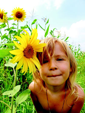 Kind im Sonnenblumenfeld